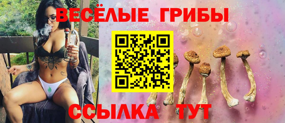 Галлюциногенные грибы Psilocybe  Псилоцибиновые грибы мухоморы  Химки  как найти закладки  Вход с VPN 