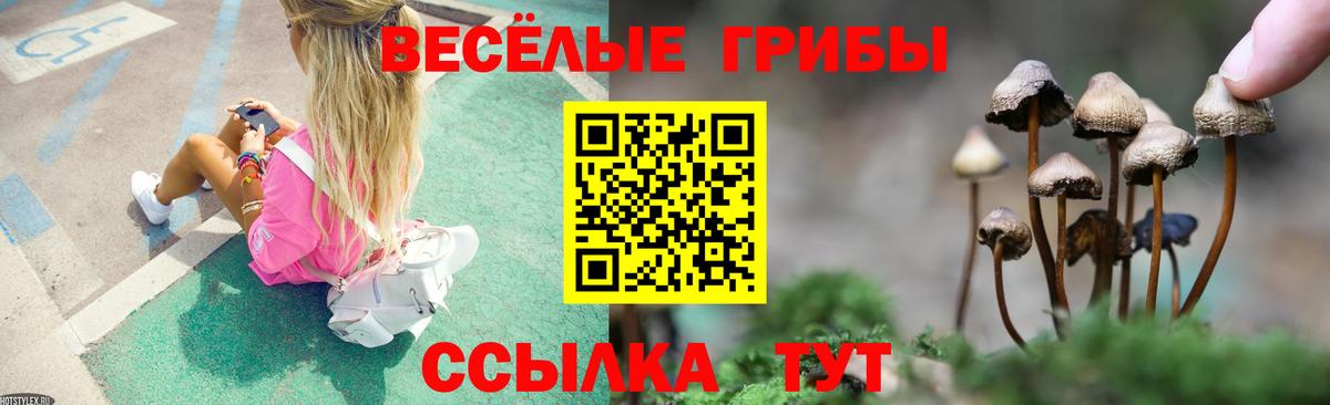 Галлюциногенные грибы Cubensis Химки